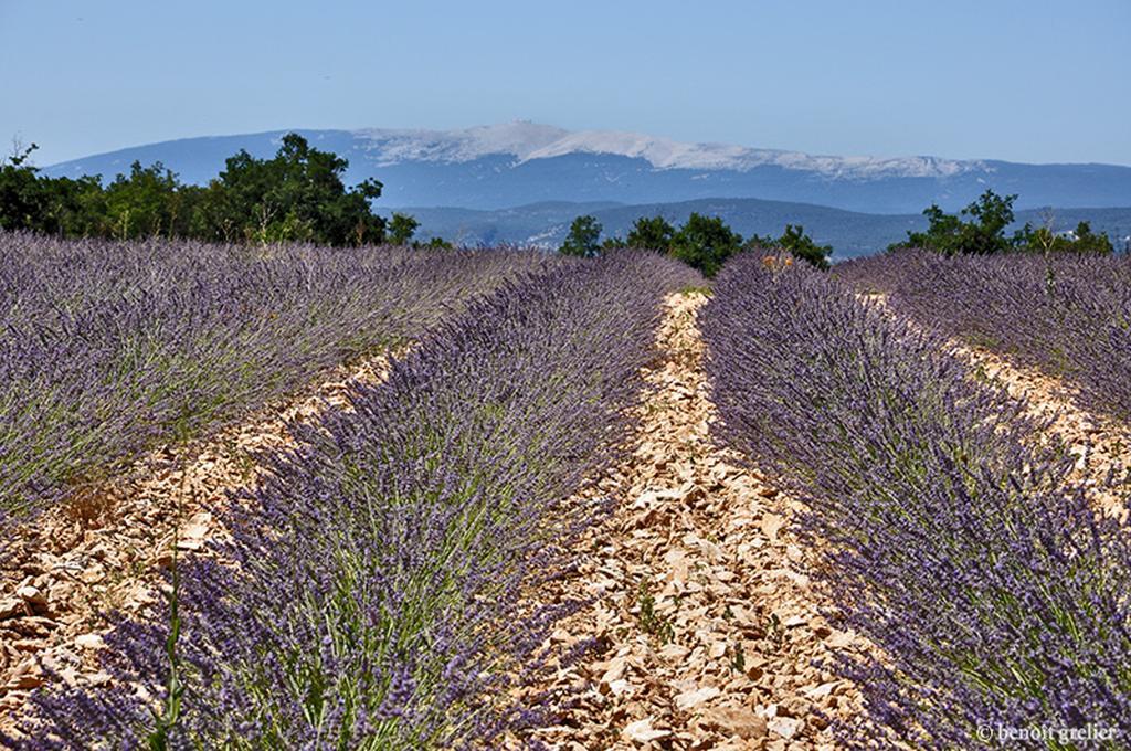 Domaine Les Chenes Blancs Hotel Saint-Saturnin-les-Apt Luaran gambar